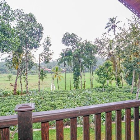 Villa Peacock Walahanduwa Bilik gambar