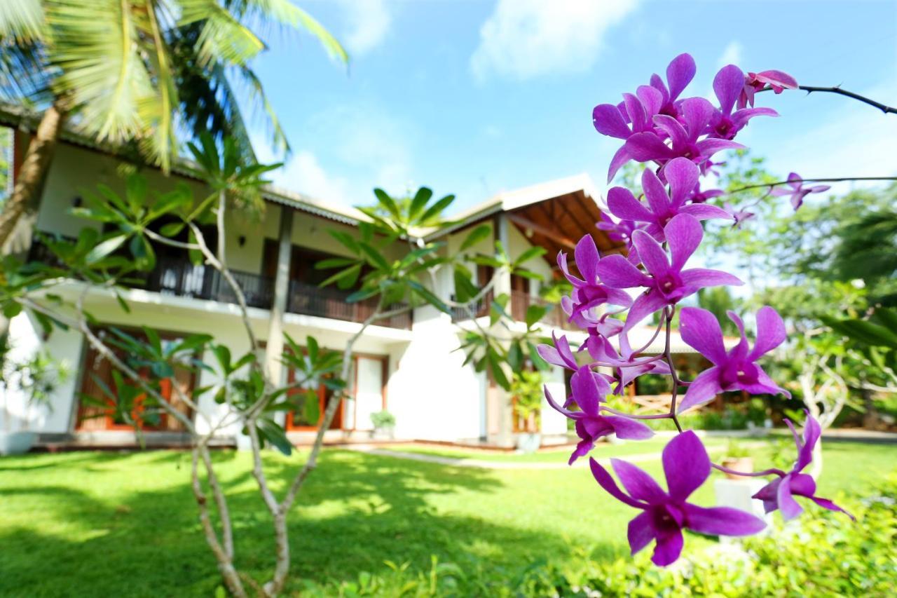 Villa Peacock Walahanduwa Luaran gambar