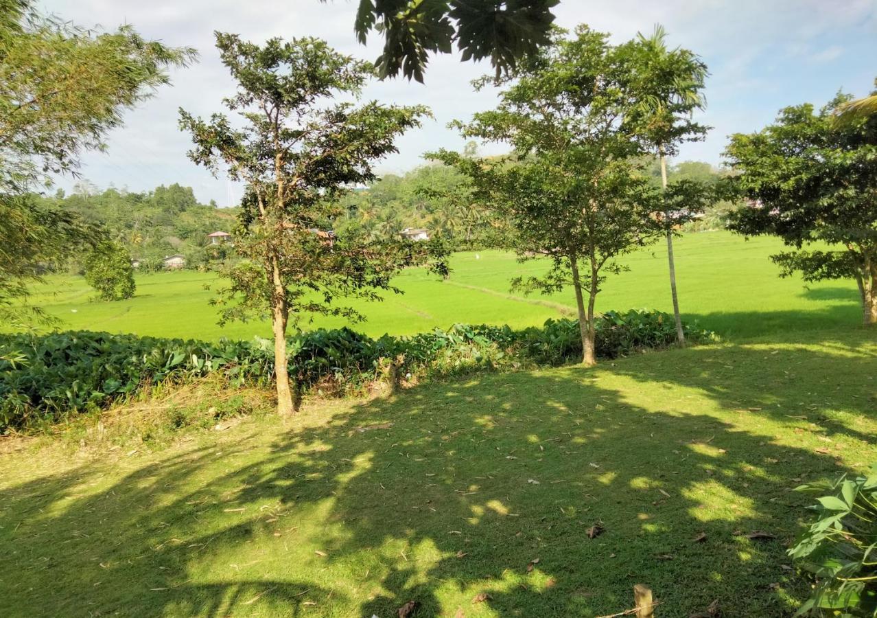 Villa Peacock Walahanduwa Luaran gambar