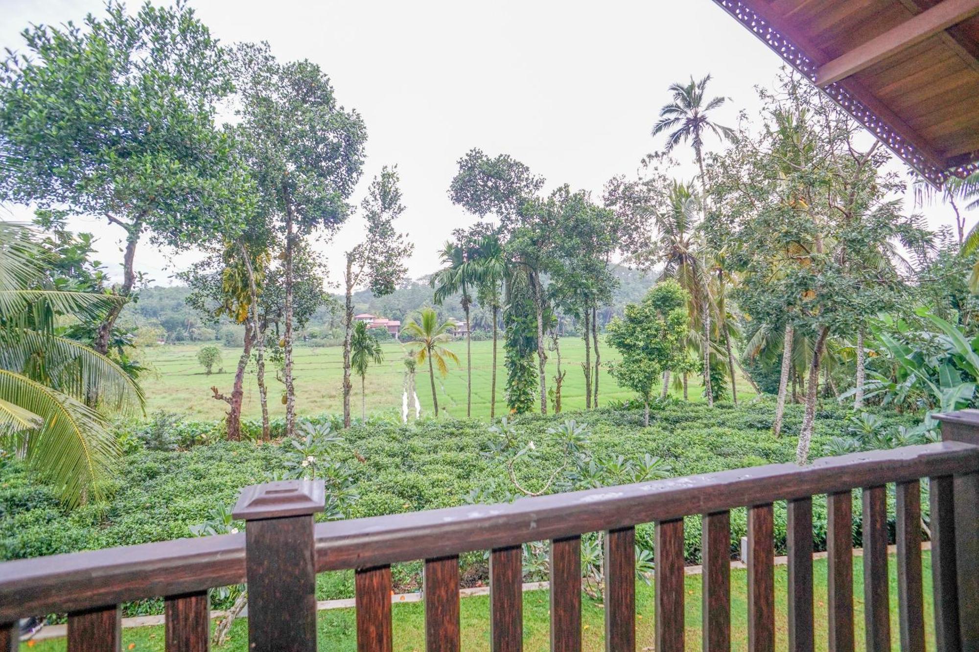 Villa Peacock Walahanduwa Bilik gambar